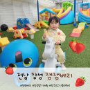 우미농장 | 전남 장성 딸기 체험농장 잼잼베리 광주근교 아이와 가볼만한곳