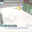 가을의 온새미로 이미지