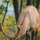 맑은내한의원 이미지