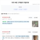 제트클린 네이버블로그