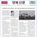 로제피부과의원 이미지