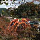 철암초등학교 | 강원도 태백 철암단풍축제 미리 다녀온 후기, 현재 상황은?