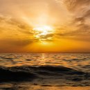 파도는 머무르지 않는다/월광 이장우 이미지