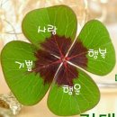 한잔의추억 - 포항시 남구 | 한잔의추억