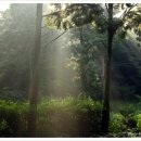 전남여관 이미지