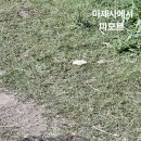 260722~ 중국 청감내(문원 백리화해 &amp; 마제사 등) 여행 이미지