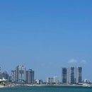 스테이옹치 이미지