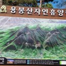 (유)누리관광 이미지
