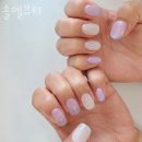 솔엘뷰티