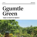 창원 아이와 가볼만한곳 꿈틀그린,숲속농장 놀이터에서 아이와 피크닉 오두막B 후기(+여름엔 수영장)