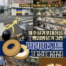 파리바게뜨대정점