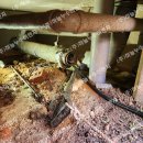 텃골로 33번길 이미지