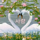 갈산고등학교 이미지