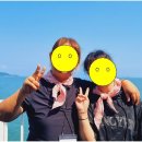 행복한우리소 이미지