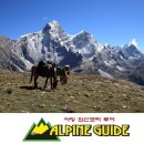 조나단 민박 이미지