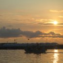 블루콘텔 이미지