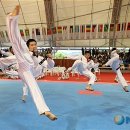 반딧불태권도체육관 이미지