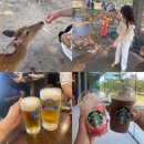 솔안공원 투나쪽 입구 | 오사카난바역에서 사슴공원/스타벅스 딸기프라푸치노/구로몬시장