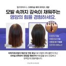 컬러앤하우스 네이버블로그