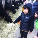 은하목장 이미지