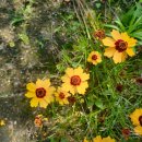 진주 이정 묘 | [답사]진주의 보물을 찾아라 4회차 -1862년 진주농민항쟁(농민항쟁기념탑/유계춘선생의 묘)