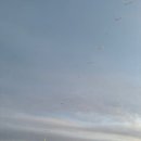 해맞이의원 | 울산 새해 일출 행사 병영성 해돋이 해맞이 행사 주차 꿀팁