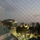 잠원동성당 건너편 횡단보도 앞 | 혼자 후쿠오카 여행 가볼만한곳 하카타의 수호신을 모시는 구시다신사