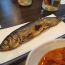 오양회참치