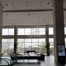 [화성] 화성 가성비 최고 호텔! 롤링힐스호텔 부대시설(사우나, 더바 치킨, 디너뷔페) 후기