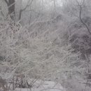 서동민박 이미지