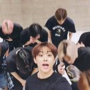 낭만고양이 이미지