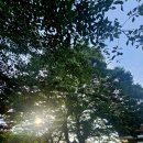 왕신3리 이미지