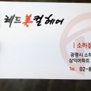 레드미컬헤어 이미지