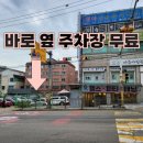 리라핏 거모점 이미지