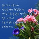 "충남 태안('신진도')과 예산('덕산온천')을 찾아서"＜2019.07.25(목)＞ 이미지