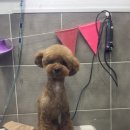 토곡동물병원 이미지