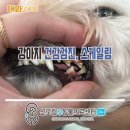 베이직 동물병원 이미지
