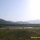 고달리다리 티스토리
