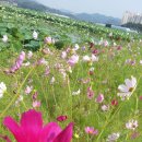 성포예술광장2 이미지