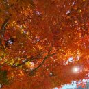 두륜산관광펜션 이미지