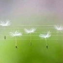 하늘을 향하여 이미지