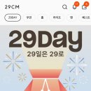 이십구(29) 네이버블로그