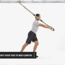 Suspended TRX - Tricep Extension / Triceps Press 이미지