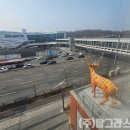 연세웰드림내과의원 이미지