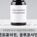 문쥬스 네이버블로그