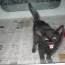 은성카센타 이미지