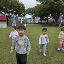 9-28 진주성 (산새소리) 이미지