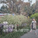 하계2동주민센터 | 공릉 경춘선숲길 노원 아이와 가을 산책(주차, 방문자센터)