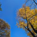 화첩-공무도花 이미지