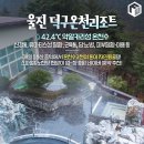 마금산원탕보양온천 이미지
